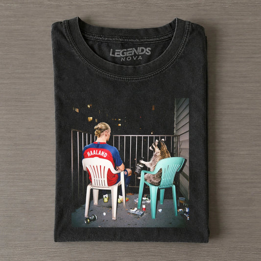 EH Norway Funny 2026 T-shirt